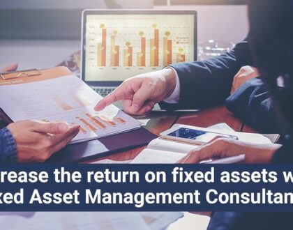 fixed asset management consultant