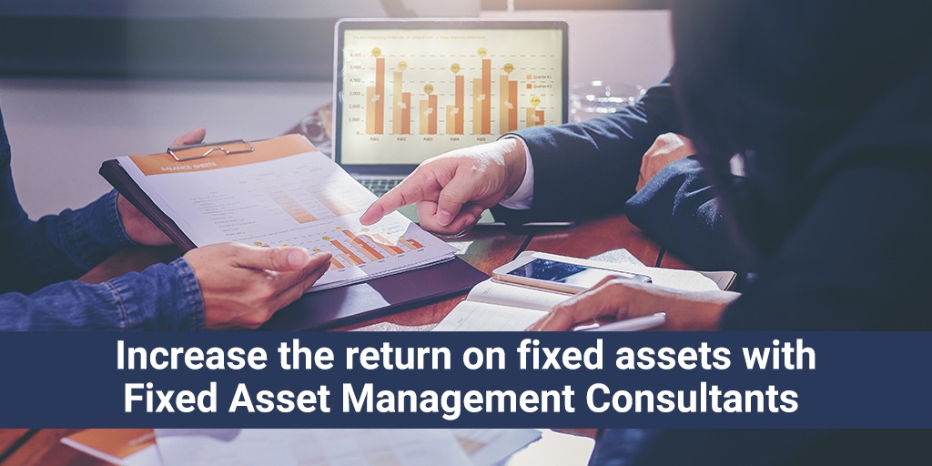 fixed asset management consultant