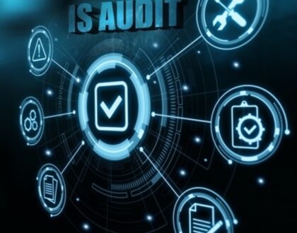 The Importance of Information System Audit Firms in Mumbai